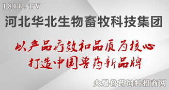 華北生物 聚焦生物技術(shù)開(kāi)發(fā)，守護(hù)健康——病毒性疾病的防治原則與前沿實(shí)踐