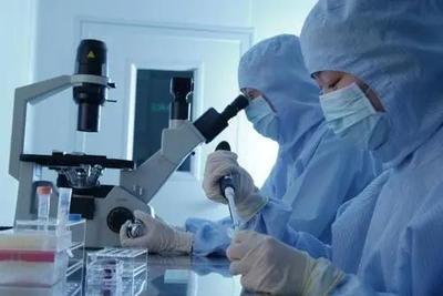 李逵還是李鬼？相似專業(yè)名稱辨析 生物技術(shù)與生物技術(shù)開(kāi)發(fā)，2021年考生必讀