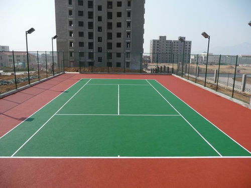 景寧各種運動場地草坪鋪設(shè)舊場地翻新 維修