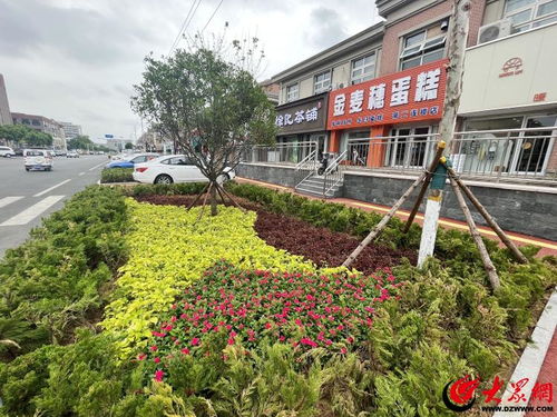 更好的濰坊 品質優丨顏值與品質并存 濰坊全要素示范街來了