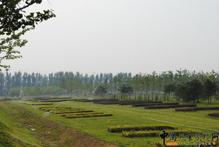 北京市2010年度園林綠化優(yōu)質(zhì)工程開評(píng)