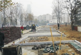 瑤海報數(shù)字報 打造精品綠化工程 建設生態(tài)園林城市