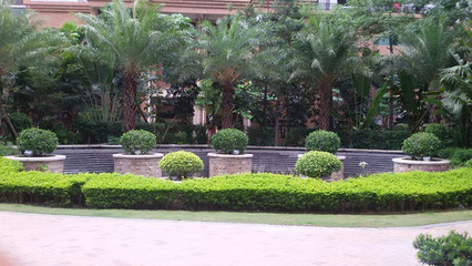 廣州地產綠化工程施工公司價格多少錢_佛嶺景觀