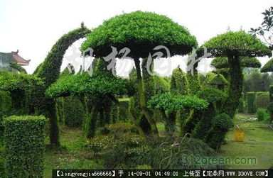 園林景觀藝術(shù)與工程實(shí)踐 從雕塑小品到綠化實(shí)景的完整圖鑒