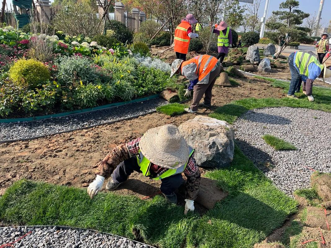 施工現(xiàn)場(chǎng)實(shí)拍 感受園林綠化工程的魅力