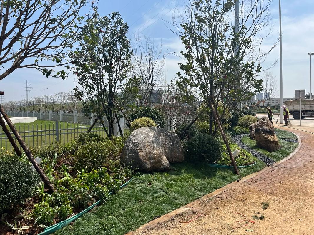 園林綠化工程 從施工現(xiàn)場(chǎng)實(shí)拍看生態(tài)美學(xué)的誕生